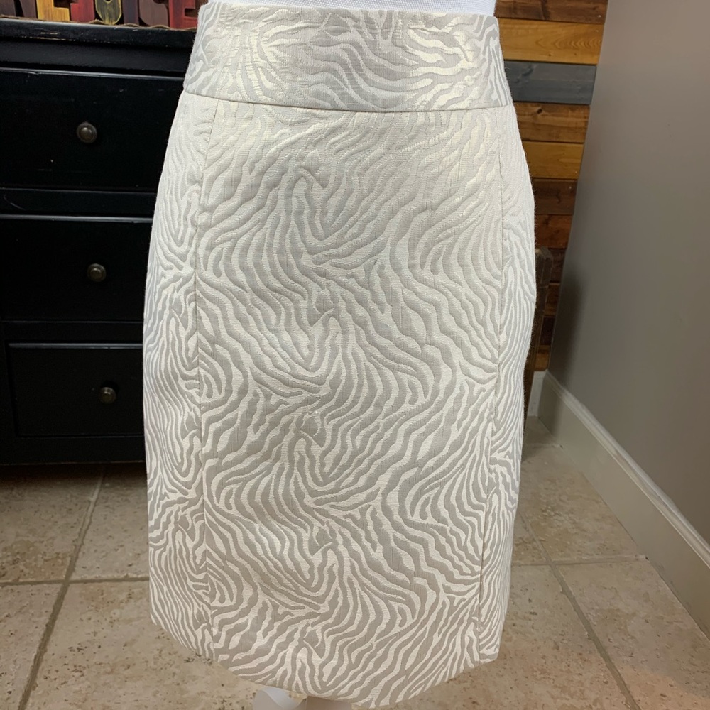 Ann Taylor Loft Skirt